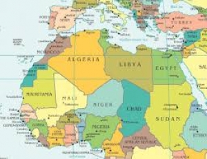 اجلاس فرصت های تجاری ایران و آفریقا